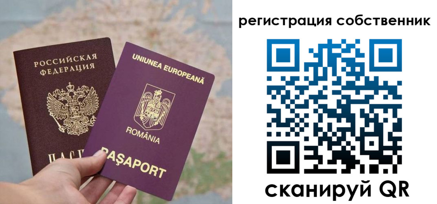прописка для школы в Твери